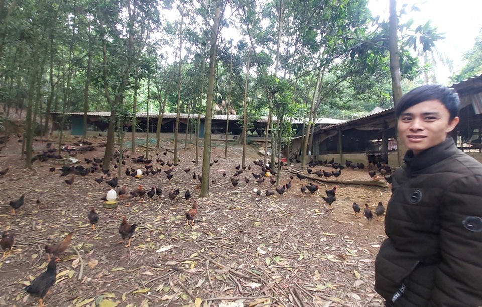 Nam thanh niên người Thái làm giàu từ đất, thu gần nửa tỷ đồng mỗi năm - 2 Nam thanh niên người Thái làm giàu từ đất, thu gần nửa tỷ đồng mỗi năm - 2