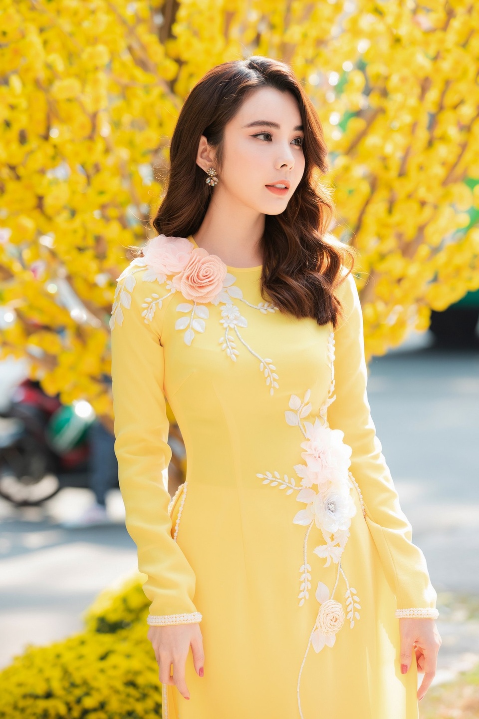 Hoa hậu Huỳnh Vy khoe sắc với áo dài - 4 Hoa hậu Huỳnh Vy khoe sắc với áo dài - 4