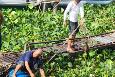 Đi tập thể dục phát hiện thi thể nổi trên sông Tiền
