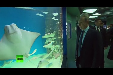 Ông Putin thăm bảo tàng hải dương học lớn nhất châu Âu