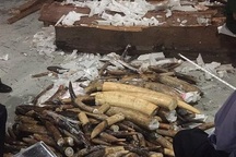 Thuê chị bán hàng rong làm giám đốc để… buôn lậu