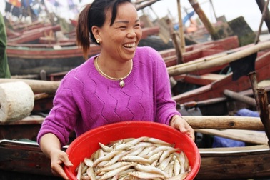 Ngư dân phấn khởi vươn khơi sau 10 ngày "đi đòi bờ biển"