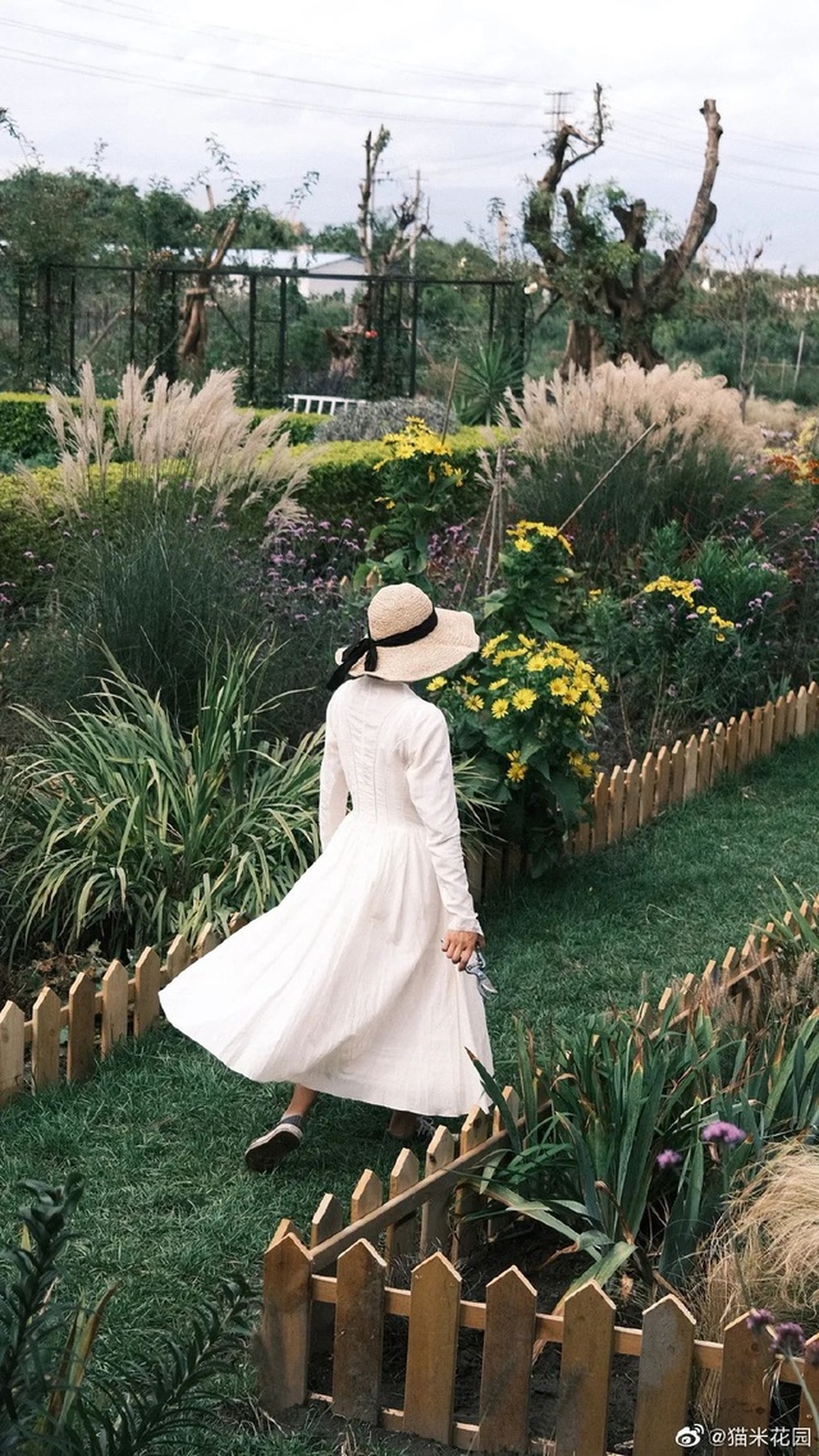 Cặp vợ chồng bán nhà thành phố, về ngoại ô làm vườn trồng 2.000 loài hoa - 8