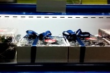 Cục trưởng BVTV: Hoa quả Úc bảo quản được 6-10 tháng 