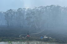 Cháy Vườn quốc gia Tràm Chim: Điều tra các bẫy chuột ở hiện trường