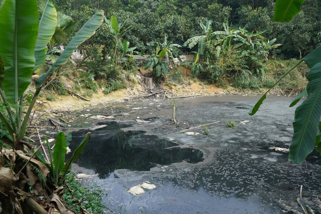 Trang trại lợn không phép ngang nhiên xả thải ra môi trường - 3 Trang trại lợn không phép ngang nhiên xả thải ra môi trường - 3