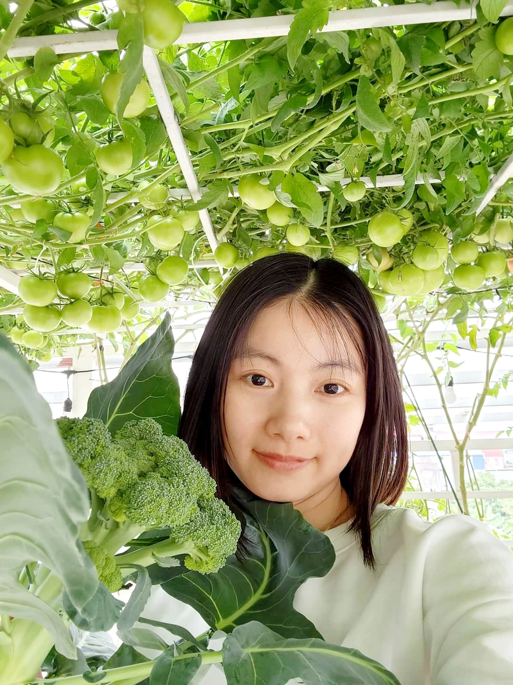 Dược sĩ chuyển 6 tấn đất lên sân thượng, trồng cà chua khủng - 9
