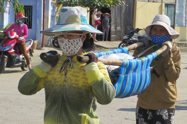 Cá ngừ đại dương trúng đậm, nhiều tàu sẵn sàng đón Tết trên biển