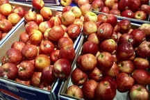 Táo Pháp rẻ như rau chợ, dân Việt sính ngoại ăn quả lừa