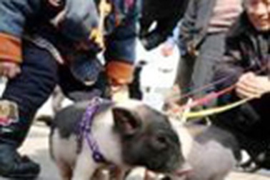 Người lớn xấu xí