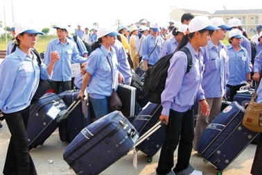 Điều kiện cung cấp dịch vụ đưa lao động đi làm việc ở nước ngoài