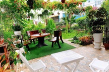 Khu vườn 63m2 với hơn 30 loài hoa đua nhau khoe sắc của mẹ đảm ở Quảng Ngãi