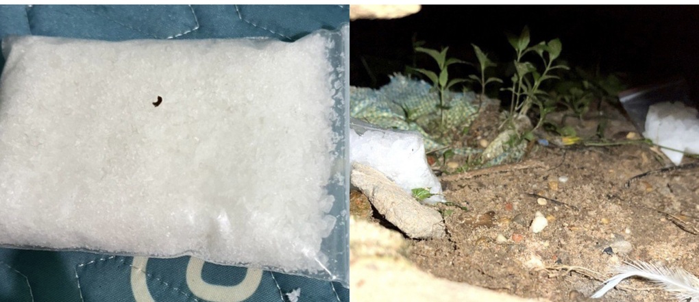 Đột kích căn nhà cho thuê, phát hiện nhiều ma túy và súng đạn - 2 Đột kích căn nhà cho thuê, phát hiện nhiều ma túy và súng đạn - 2