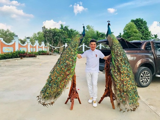 dam-vinh-hung-gay-chu-y-khi-mang-hai-cay-canh-hinh-con-cong-dang-to-21fa1ee0_akgf dam-vinh-hung-gay-chu-y-khi-mang-hai-cay-canh-hinh-con-cong-dang-to-21fa1ee0_akgf