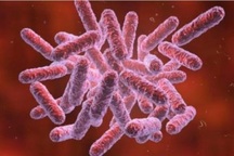 Hai trẻ nhỏ nhiễm "vi khuẩn ăn thịt"