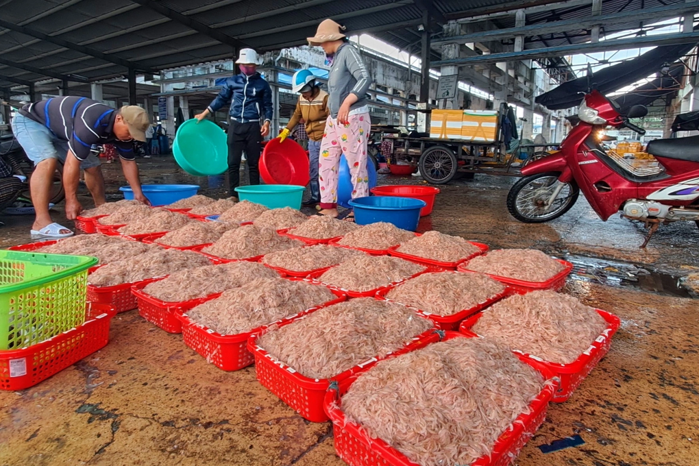 Nghề ra khơi 1 ngày bằng công nhân làm 1 năm - 1