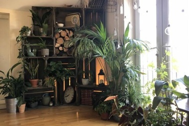 Căn nhà như "rừng rậm nhiệt đới" của chàng trai "nghiện cây" ở Anh