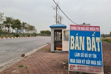 30 sàn môi giới hoạt động "chui", cảnh báo mất tiền cọc mua căn hộ chưa đủ điều kiện