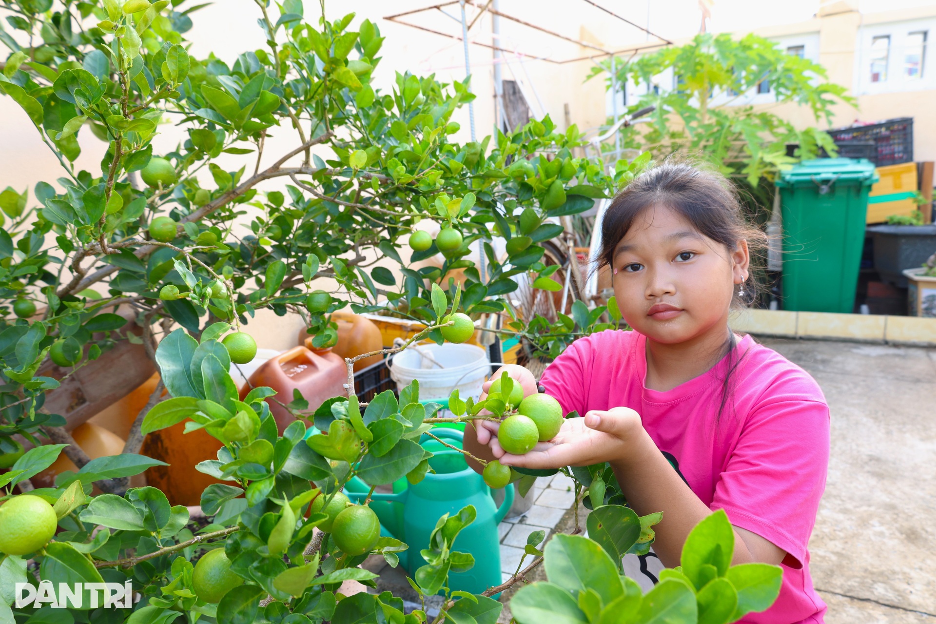 Những luống rau xanh hóa Trường Sa - 9