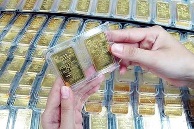 21 đơn vị nộp đơn xin kinh doanh vàng miếng