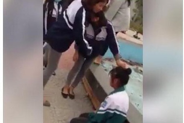 Sẽ có hệ thống tố giác thông tin về bạo lực học đường