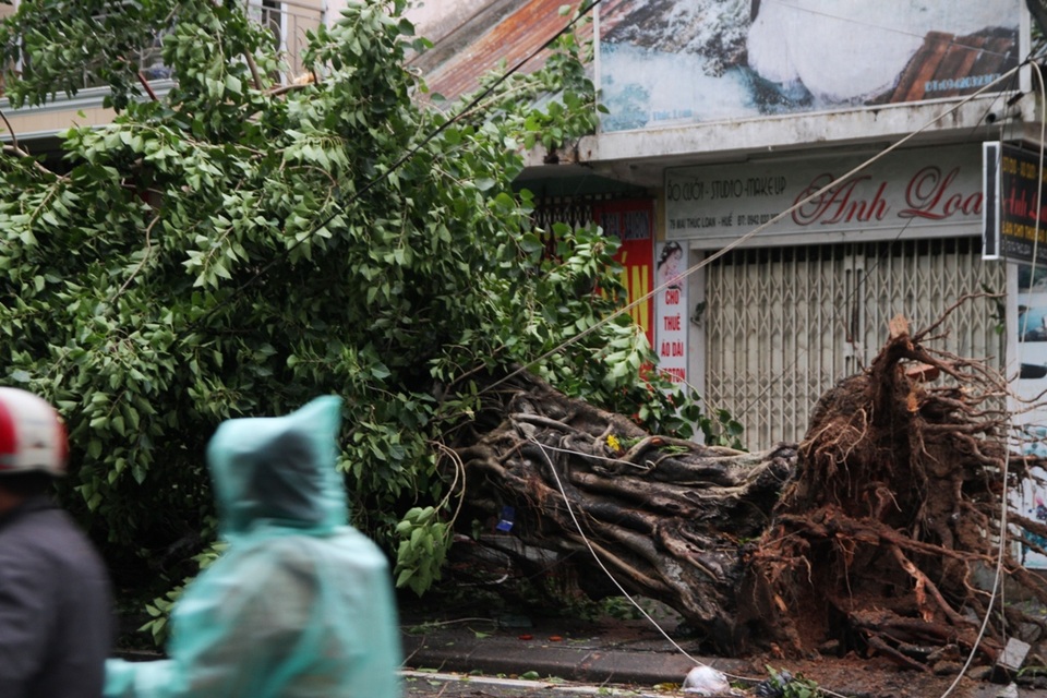 Tàu chìm, nhà sập, trường học tốc mái, cây xanh ngã đổ trong bão số 13 - 15 Tàu chìm, nhà sập, trường học tốc mái, cây xanh ngã đổ trong bão số 13 - 15