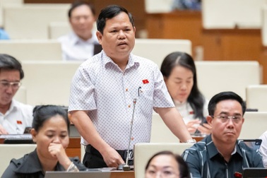 "Ngành than, ngành điện làm rất lỗ nhưng vẫn để độc quyền"