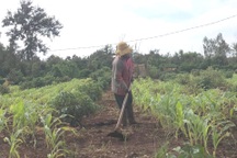 Vụ giáo viên thắng kiện huyện: Hơn 3 năm vẫn chưa được bồi thường