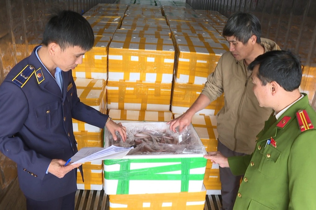 Hơn 10 tấn cá khoai ướp hợp chất cực độc đang được tuồn ra thị trường - 1