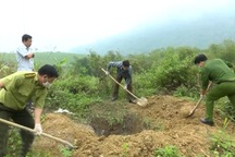 Phát hiện, tiêu hủy số lượng lớn động vật quý hiếm
