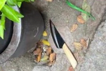 Án mạng trên phố Hà Nội: Nạn nhân là bà bán nước, bị đâm gục tại chỗ