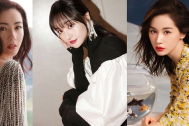 Những đứa con "bí mật" của sao Hoa ngữ