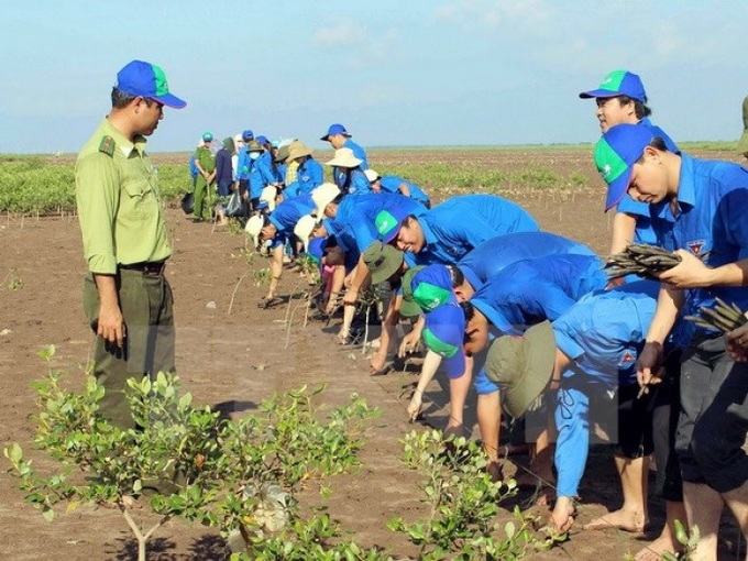 Trồng cây trên vùng đất ngập mặt mặn.