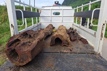 Nhóm người âm thầm đào gỗ sưa trong đêm, chưa kịp tiêu thụ thì bị phát hiện