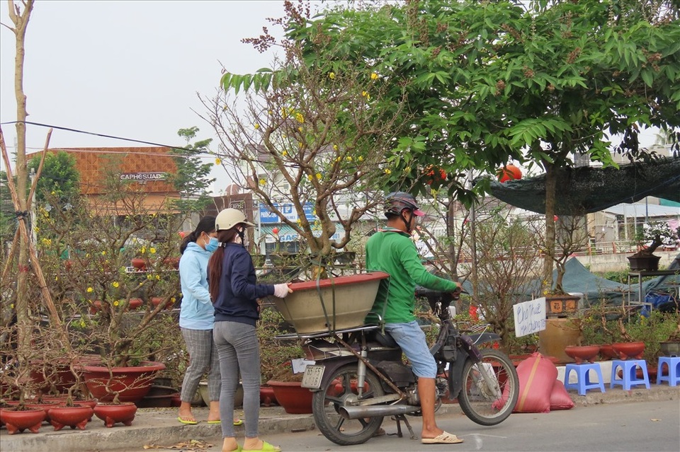 Kiếm dễ chục triệu bằng nghề chở kiểng ngày Tết - 2 Kiếm dễ chục triệu bằng nghề chở kiểng ngày Tết - 2