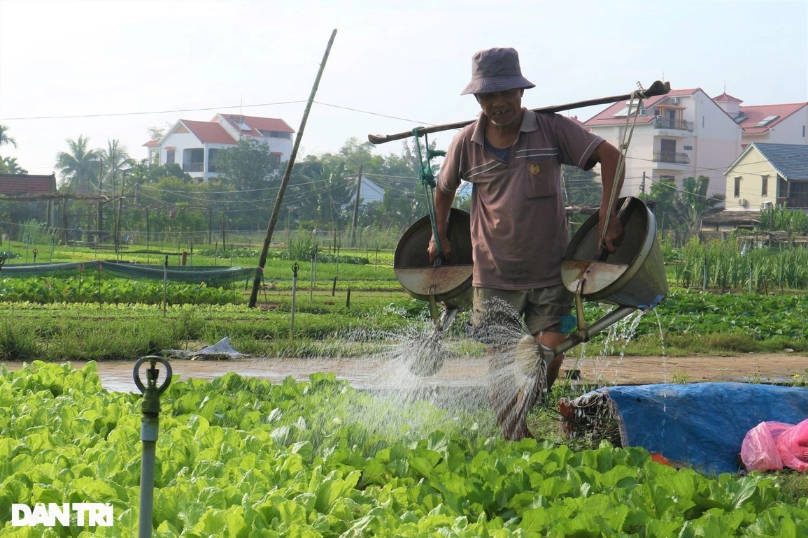 Đầu năm thăm làng rau trăm tuổi nổi tiếng trên bản đồ du lịch quốc tế - 1 Đầu năm thăm làng rau trăm tuổi nổi tiếng trên bản đồ du lịch quốc tế - 1
