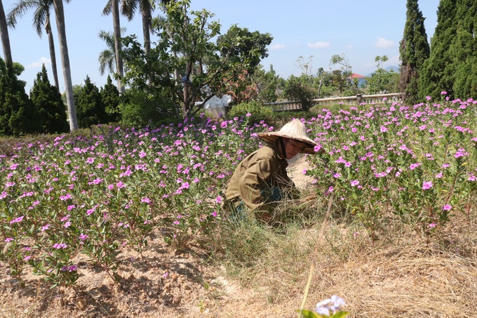 Những người quản trang thầm lặng - Ảnh 2.