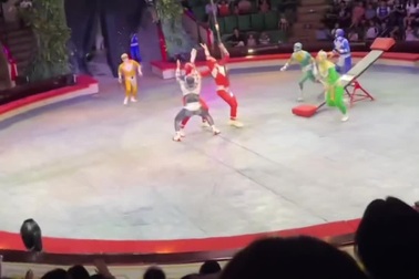 Các diễn viên xiếc phản ứng nhanh, cứu đồng nghiệp khỏi tai nạn nguy hiểm