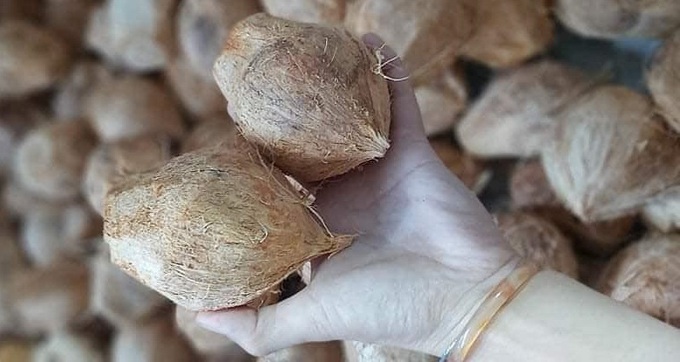 Dừa xiêm 3 lạng gọt trọc lóc giá 7.000 đồng đắt khách, bán nghìn quả trong nắng nóng - Ảnh 1. Dừa xiêm 3 lạng gọt trọc lóc giá 7.000 đồng đắt khách, bán nghìn quả trong nắng nóng - Ảnh 1.