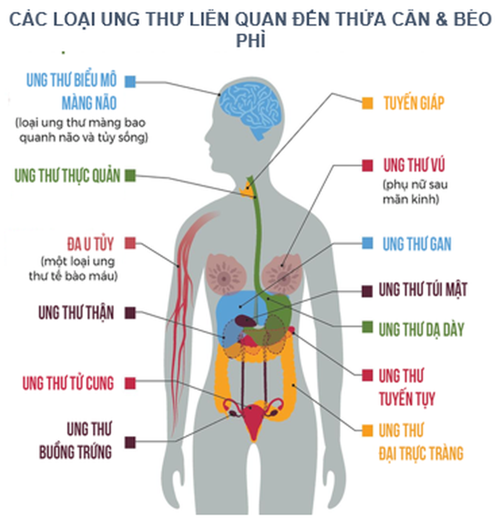 Đại dịch béo phì đang bùng phát trên toàn cầu - 5 Đại dịch béo phì đang bùng phát trên toàn cầu - 5