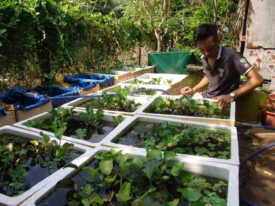 Quái kiệt biến cá đặc chủng độc, lạ thành cá kiểng, tiền đô thu đều - 1 Quái kiệt biến cá đặc chủng độc, lạ thành cá kiểng, tiền đô thu đều - 1