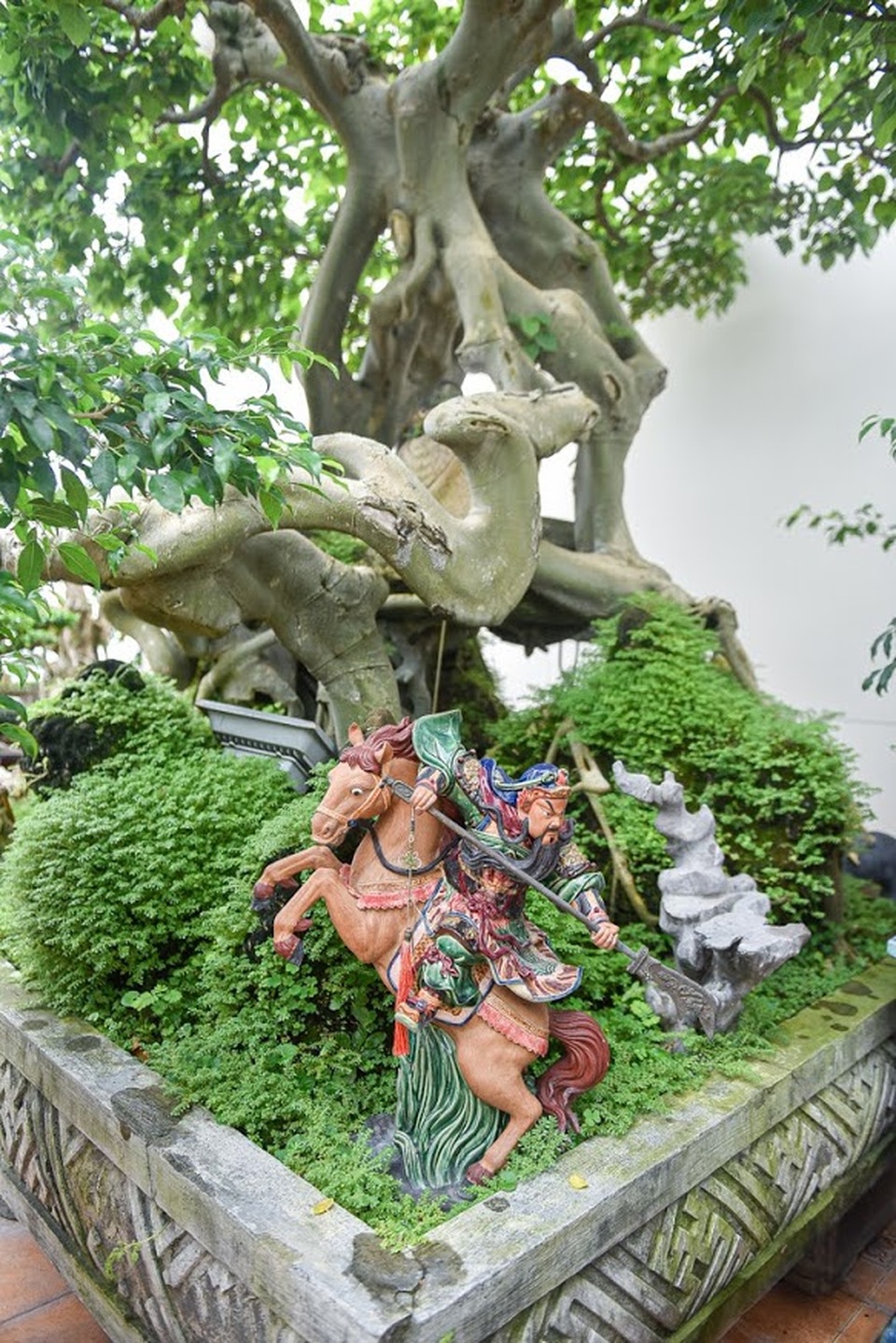 Ngắm bồ đề đắc đạo hàng trăm năm tuổi khiến đại gia khao khát săn lùng - 7 Ngắm bồ đề đắc đạo hàng trăm năm tuổi khiến đại gia khao khát săn lùng - 7
