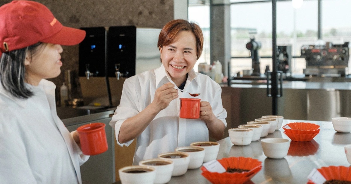 Hành trình khẳng định vị thế cà phê Robusta Việt Nam trên bản đồ thế giới