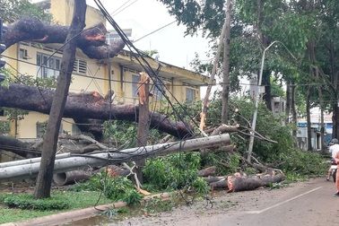 Vũng Tàu “ngổn ngang” sau bão số 9