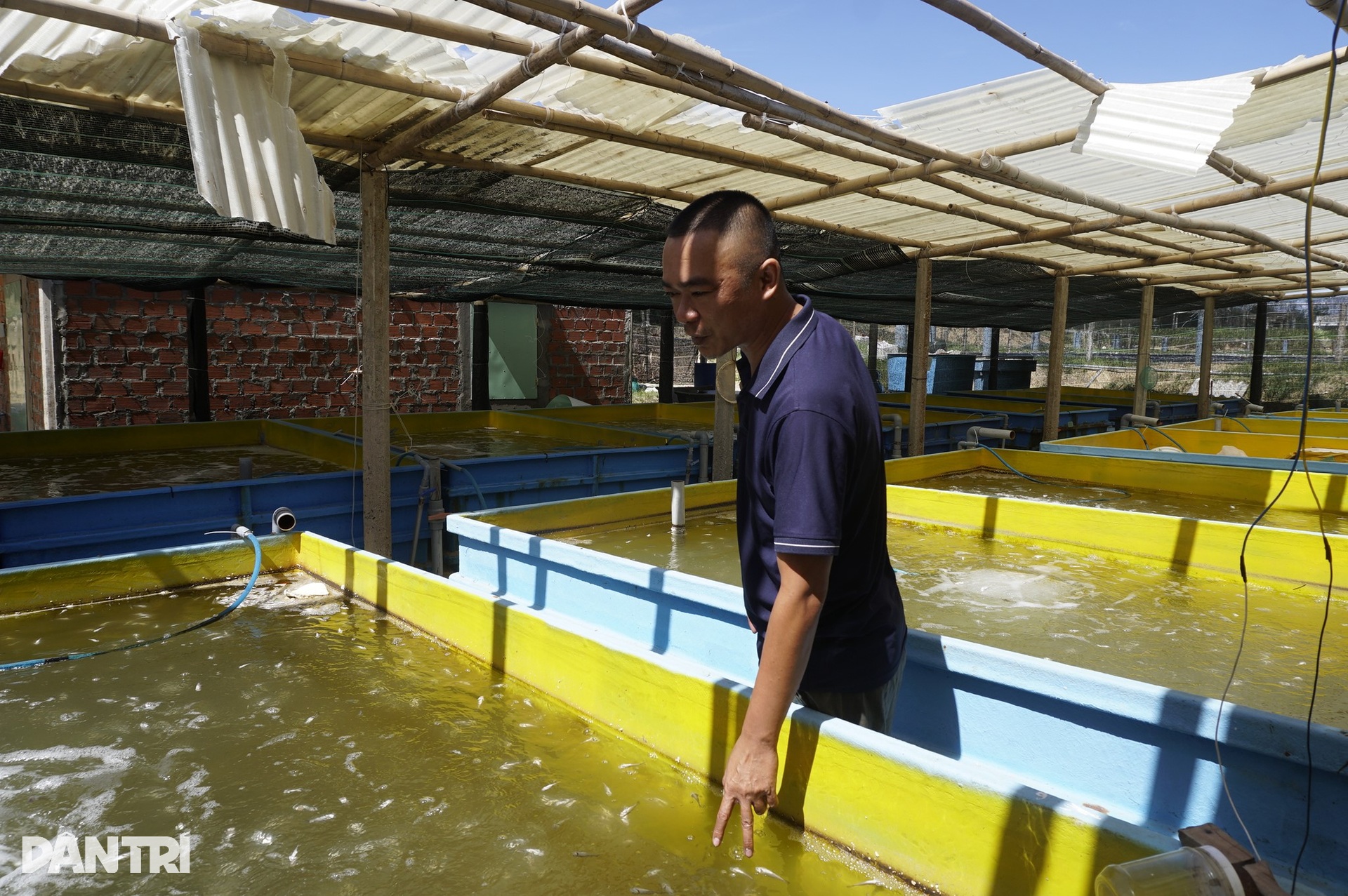 Ngư dân thất thần sau bão Kalmaegi: Trắng tay rồi, tan nát hết! - 7