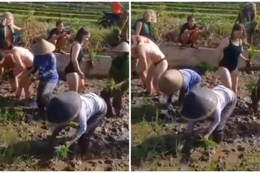 Tranh cãi nhóm nữ du khách mặc bikini cấy lúa giúp nông dân ở Bali
