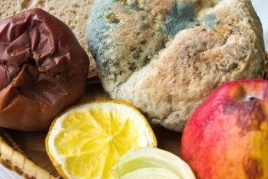 Thực phẩm bị mốc có ăn được không?