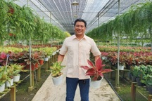 Ông chủ Nguyễn Ngọc Hùng chia sẻ về những sai lầm khi trồng hoa kiểng