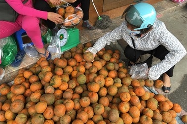 Sự thật cam Hà Giang quấn nilon ngập chợ Hà Nội