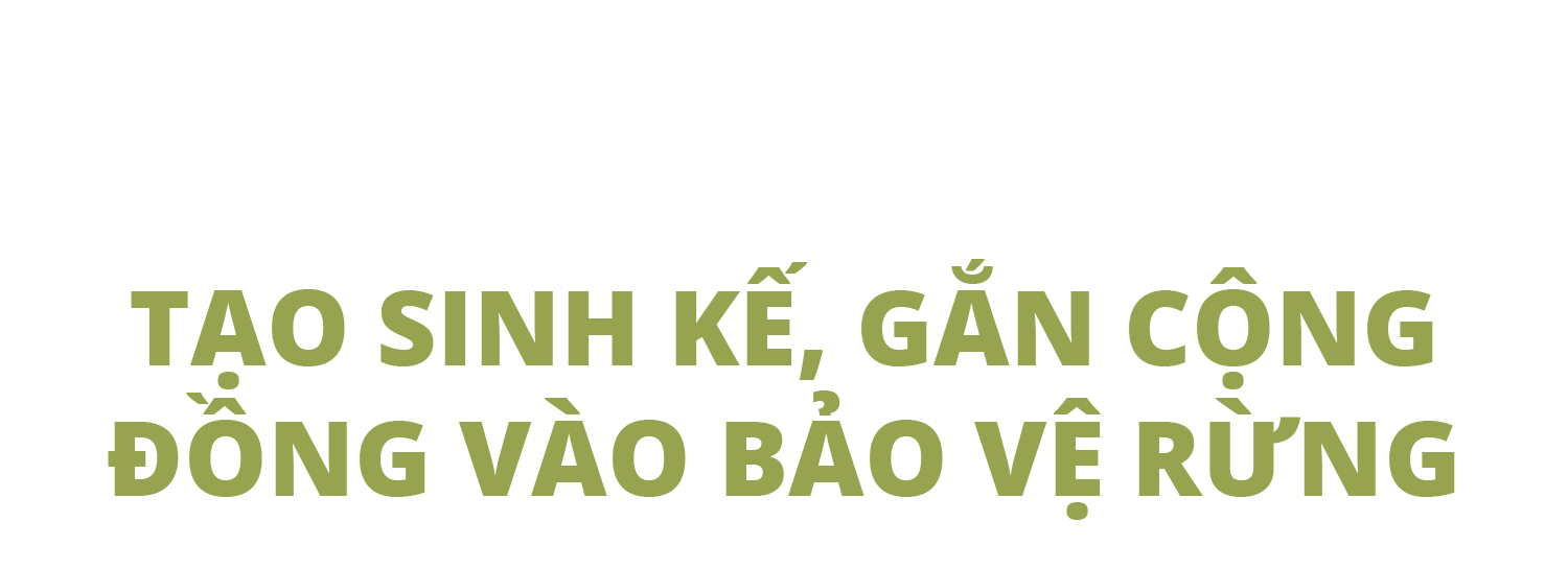 Bí ẩn về báu vật thế gian giữa đại ngàn cao nguyên ở Việt Nam - 11 Bí ẩn về báu vật thế gian giữa đại ngàn cao nguyên ở Việt Nam - 11